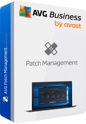 Business Patch Management